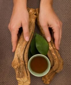 Ayahuasca kaufen