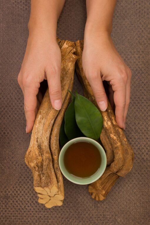 Ayahuasca kaufen